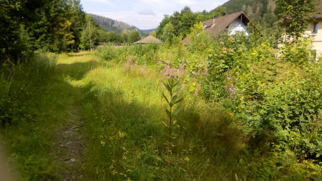 Bad Lauterberg, Grundstück