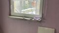 Foto der Immobilie (4220)
