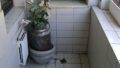 Foto der Immobilie (7057)