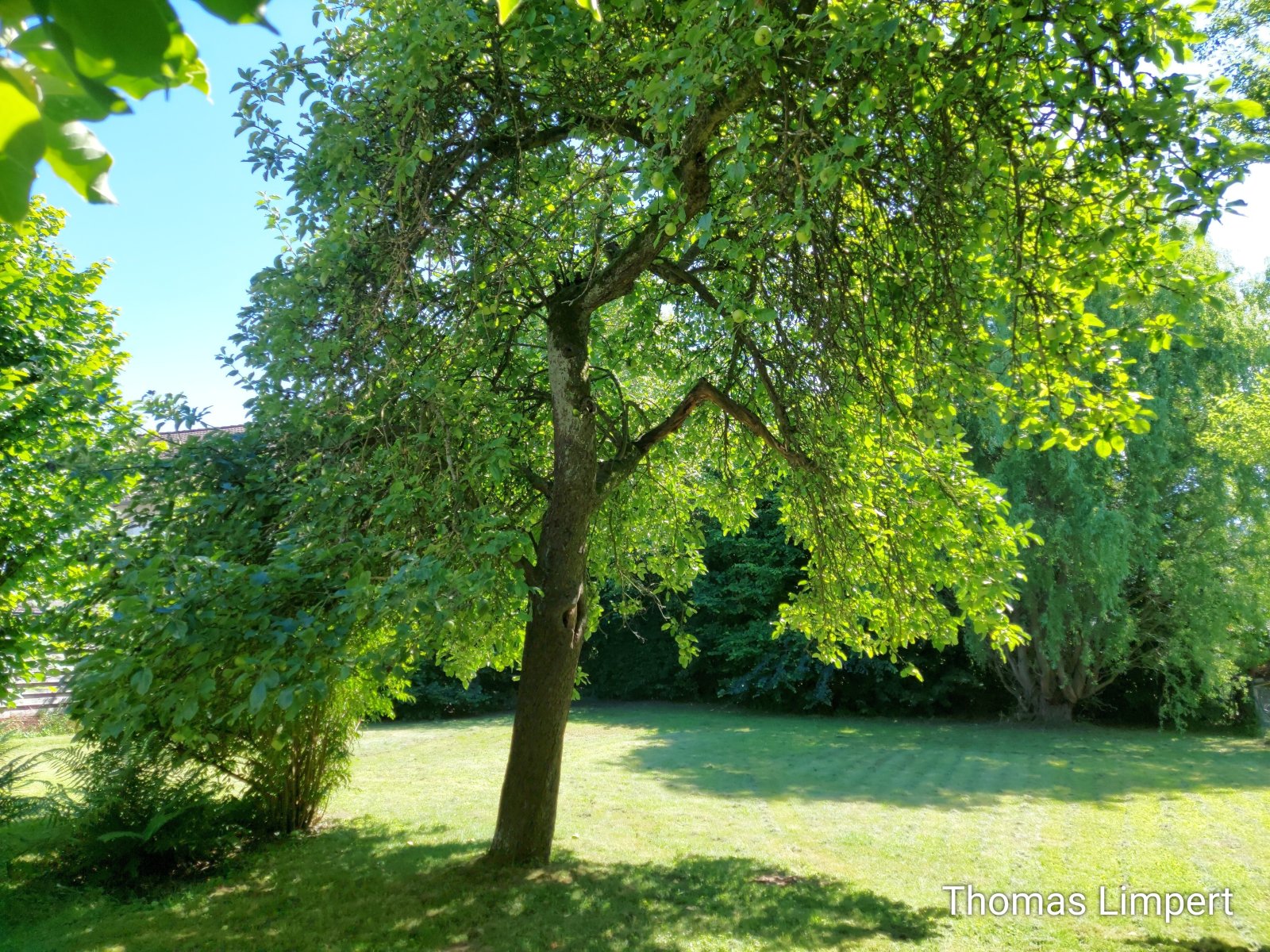 Foto der Immobilie (9624)