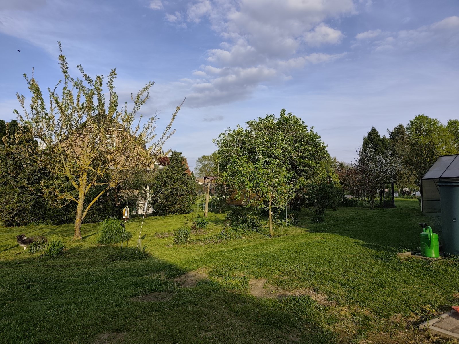 Foto der Immobilie (9531)
