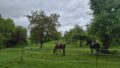 Foto der Immobilie (10692)