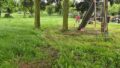 Foto der Immobilie (10695)