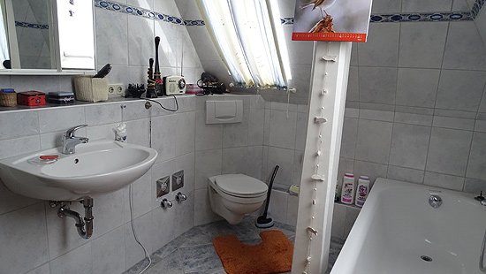 Foto der Immobilie (11759)
