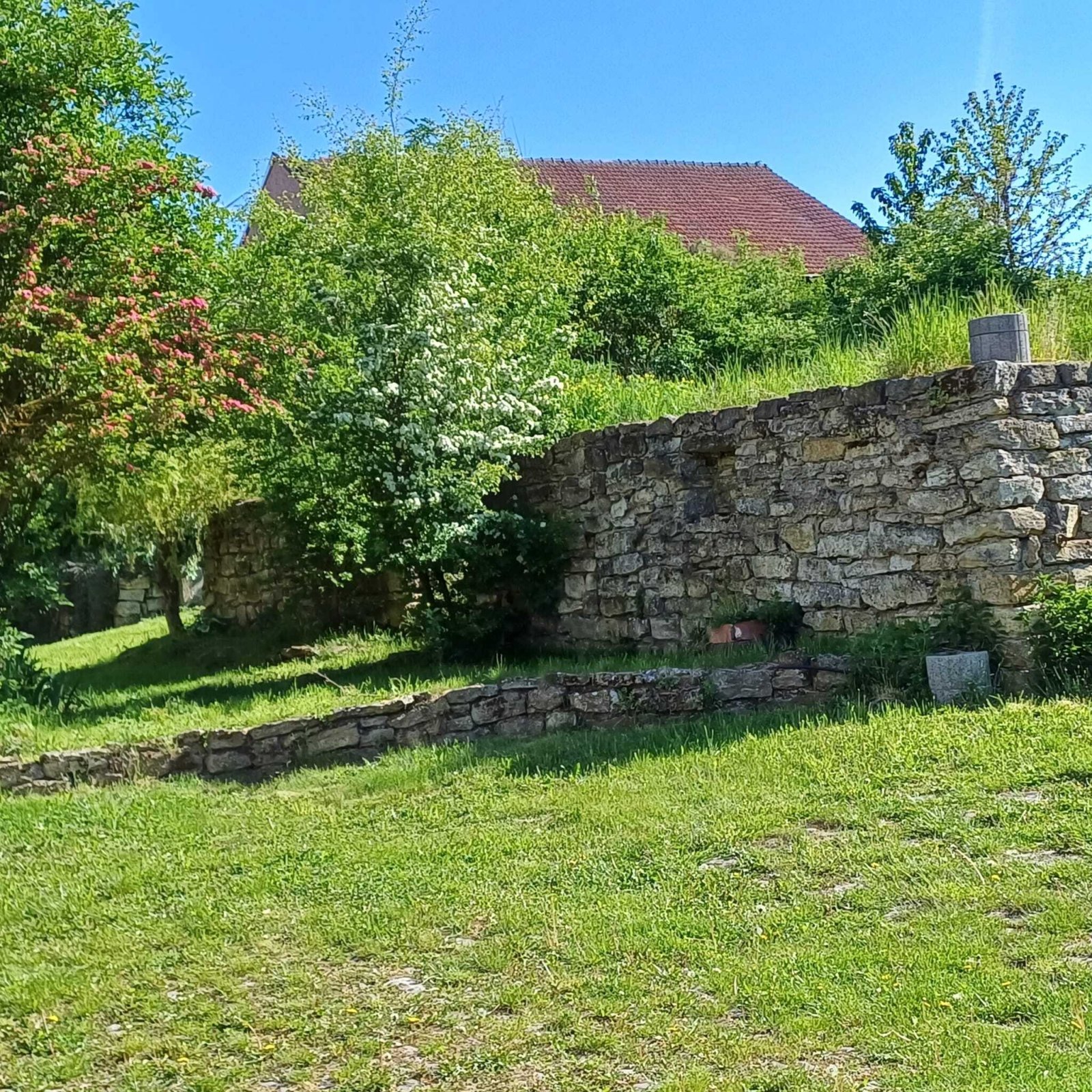 Foto der Immobilie (12617)